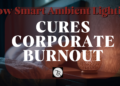 The 3-Second Evening Reset: How Smart Ambient Lighting Cures Corporate Burnout –